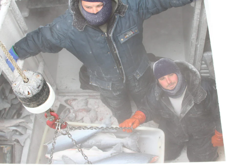 Flash Frozen Wild Seafood