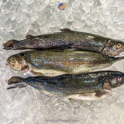 Rainbow Trout Butterfly Fillets – Skin-On (Fresh/IQF)