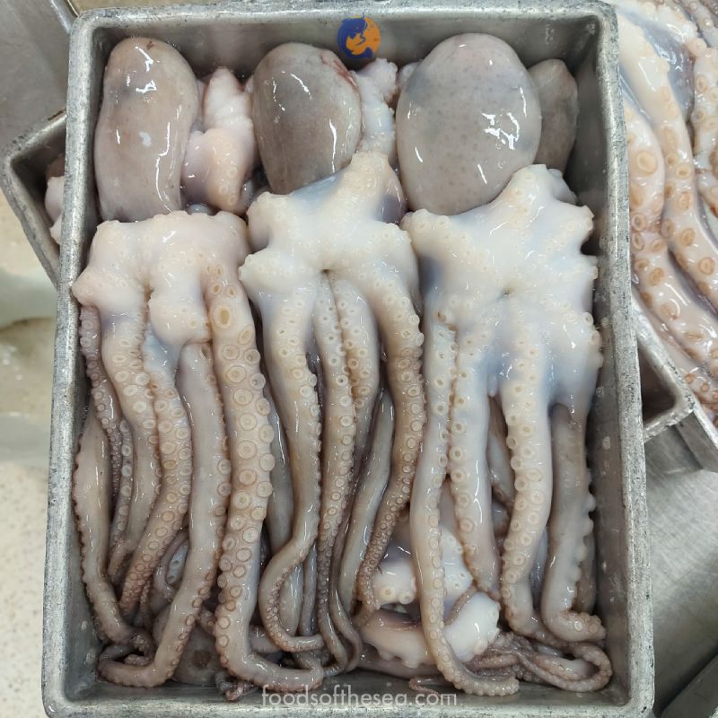 Frozen Octopus Whole (4-5 lbs) - Image 2