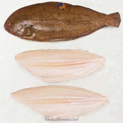 Dutch Dover Sole – Fillets, Headed & Gutted (IQF),