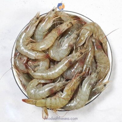 Ecuadorian White Shrimp (Vannamei) – HOSO, IQF / Brine Frozen