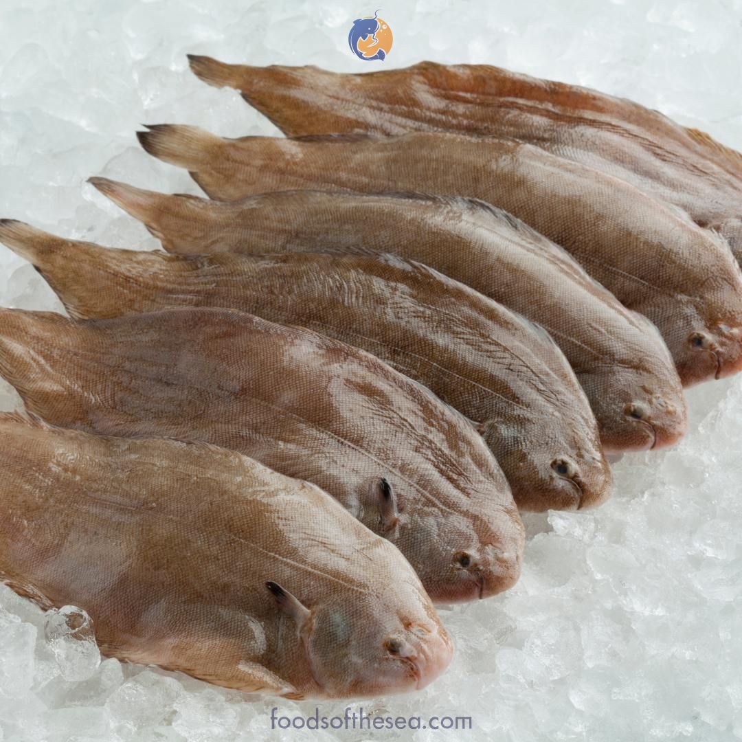 Dutch Dover Sole – Fillets, Headed & Gutted (IQF), – Image 2