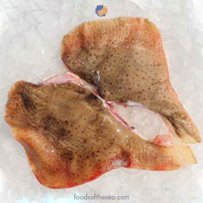Wild Caught Skate Wing Fillet