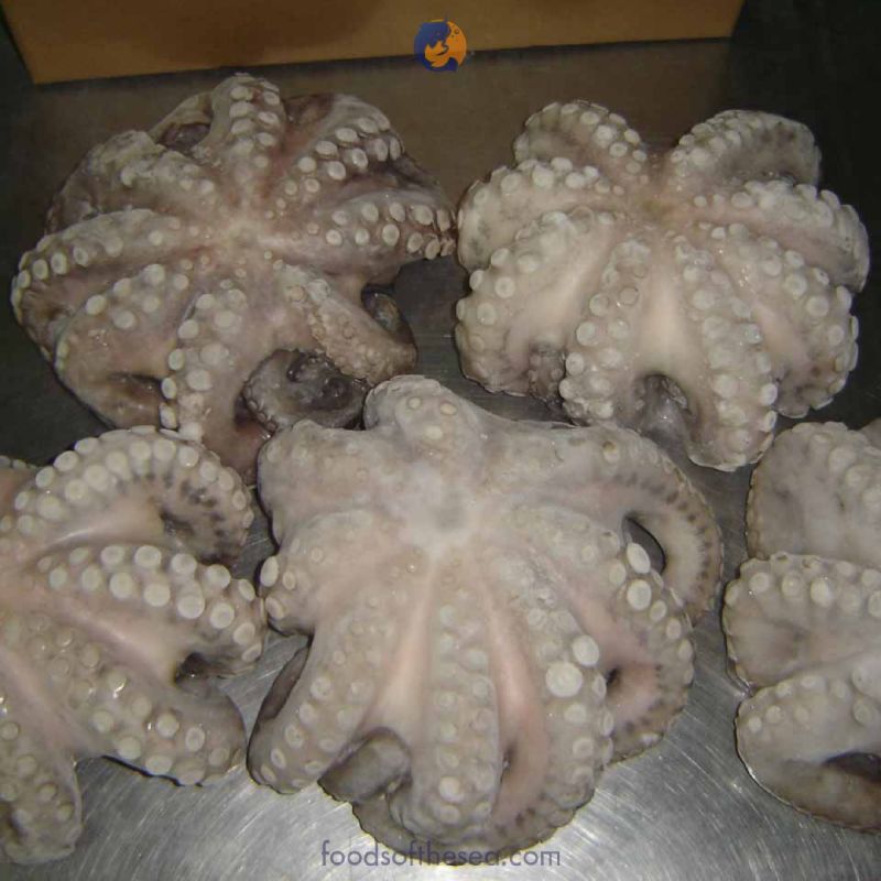 Frozen Octopus Whole (4-5 lbs) - Image 3