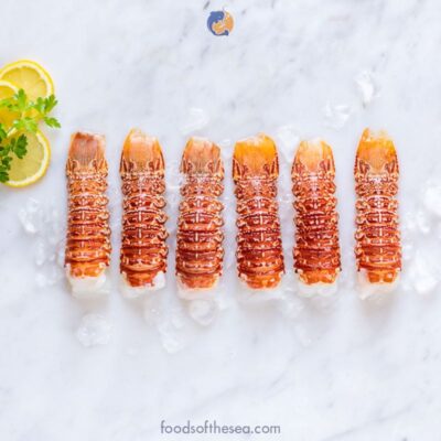 South African Lobster Tails (4-5 oz)