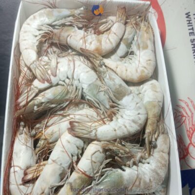 Premium White Prawns – HOSO, Chem-Free, IQF