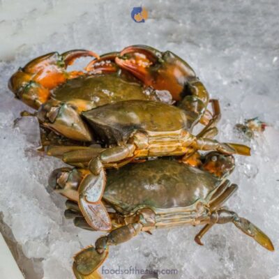 Maryland Soft Shell Crabs (Large, Cleaned)