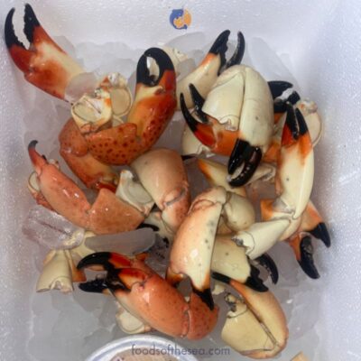 Large Stone Crab Claws