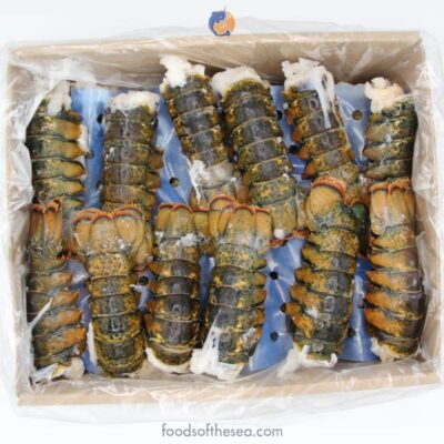 Maine Cold Water Lobster Tails, Frozen 10 Lb Cs