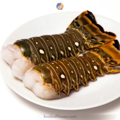 Ecuadorian Spiny Lobster Tails, Raw, Frozen