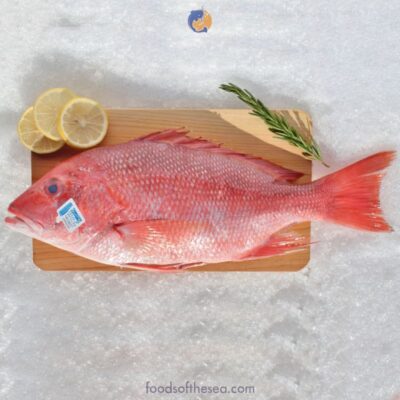 Whole Florida Red Snapper Fish (3-15 lb/ea)