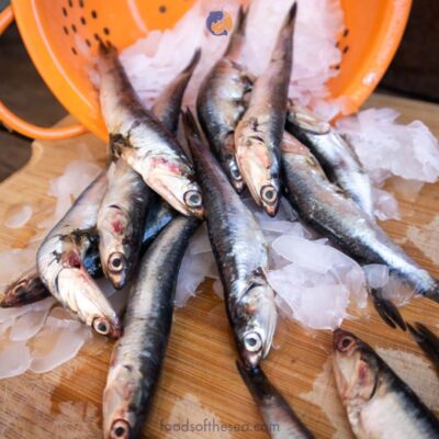 Peruvian Anchovies – Whole, Raw, IQF