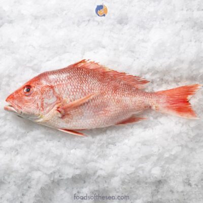Whole Red Snapper Fish (2-7.5 lb/ea)