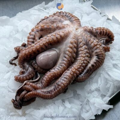 Frozen Octopus Whole (4-5 lbs)