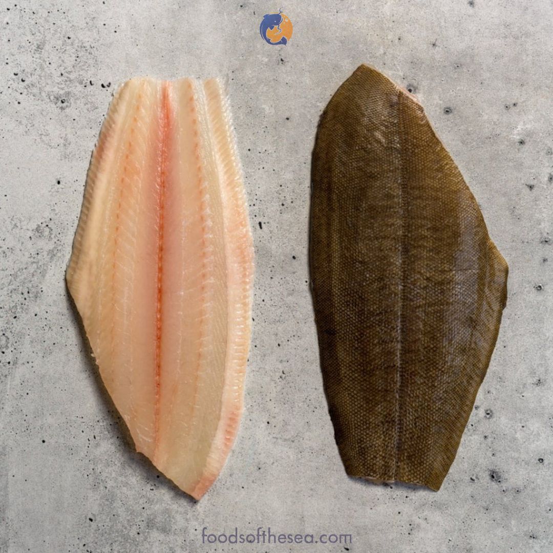 Dutch Dover Sole – Fillets, Headed & Gutted (IQF), – Image 4
