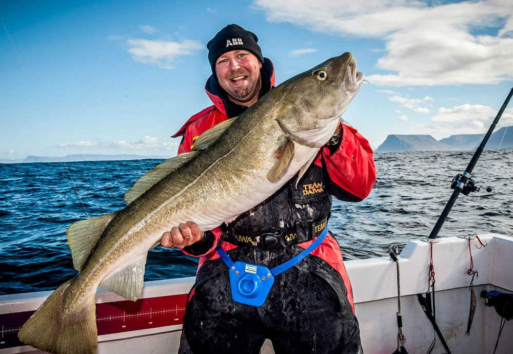 Baked Premium White Skinless Icelandic Cod Fillet Portion