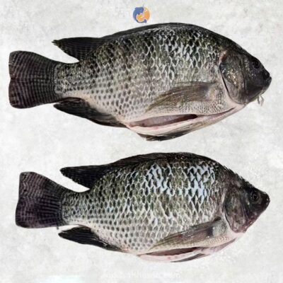 Frozen Tilapia Whole Gutted & Scaled