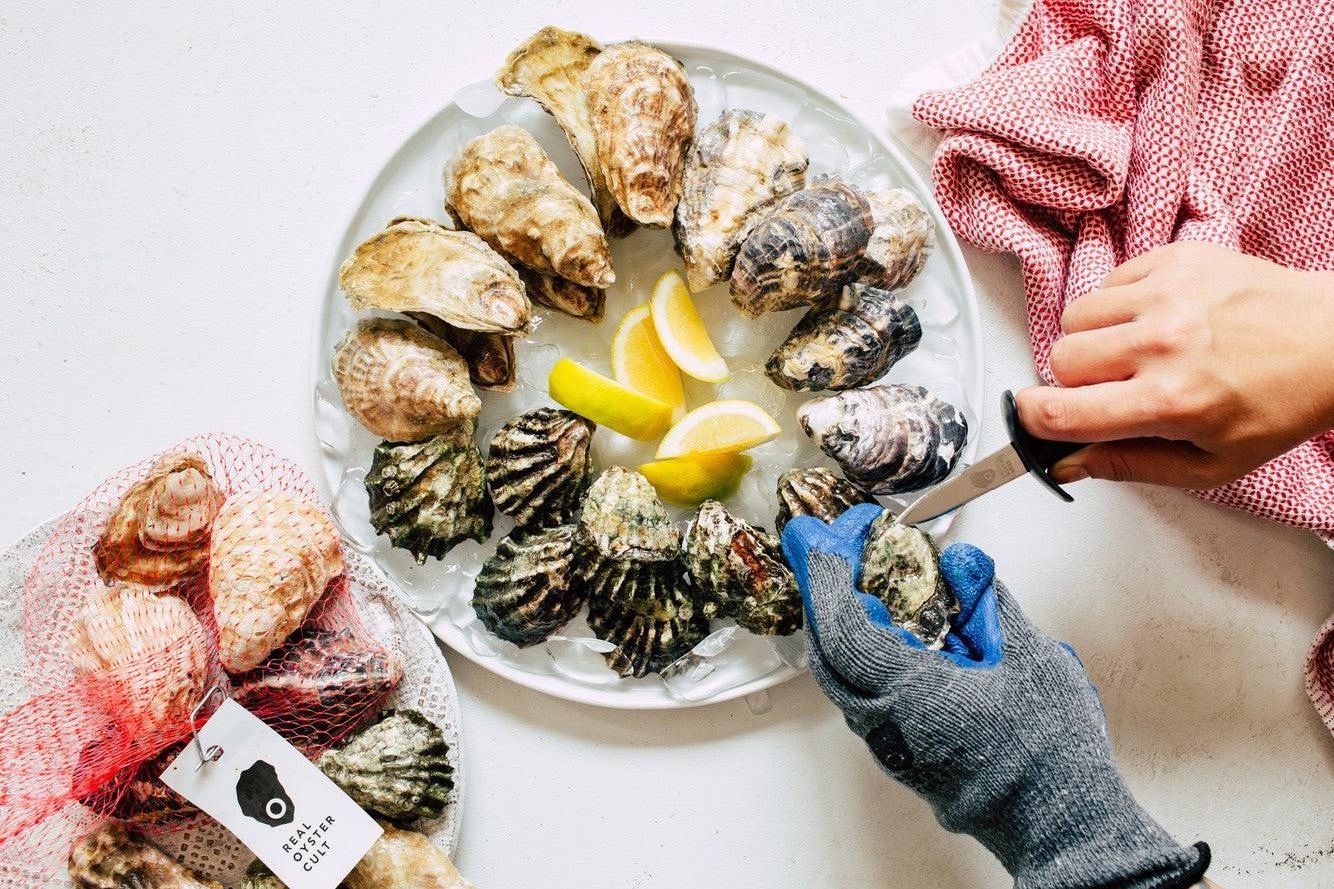 Oysters Beginners Guide